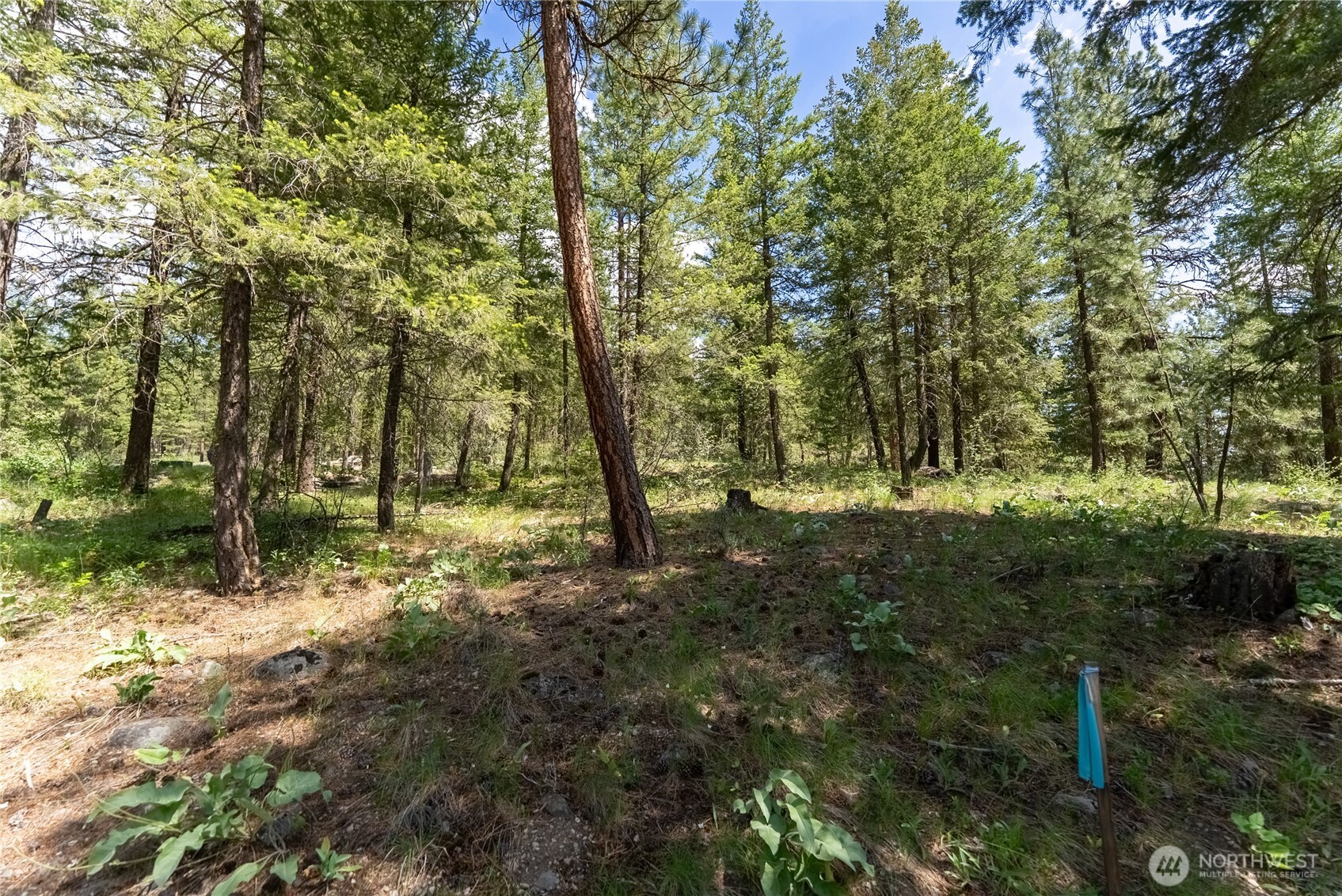 6 Homestead Road Property Photo 21