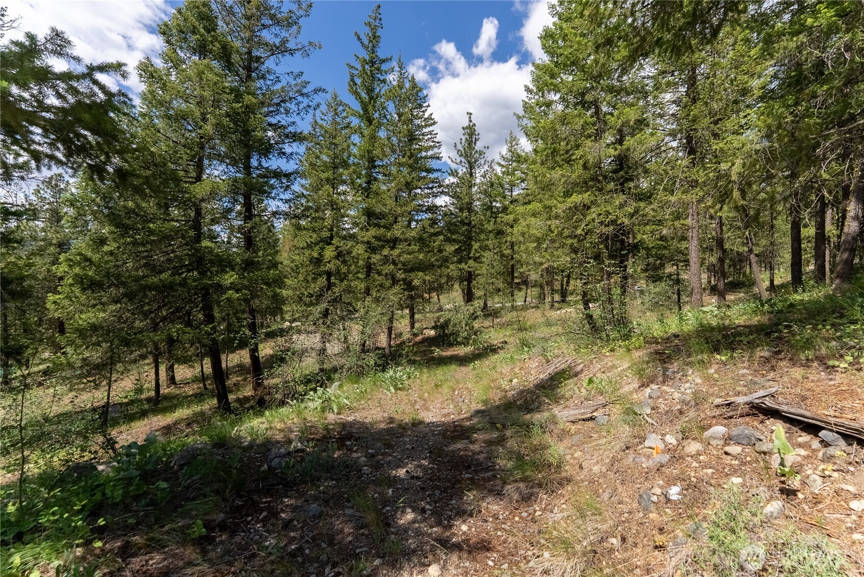 6 Homestead Road Property Photo 25