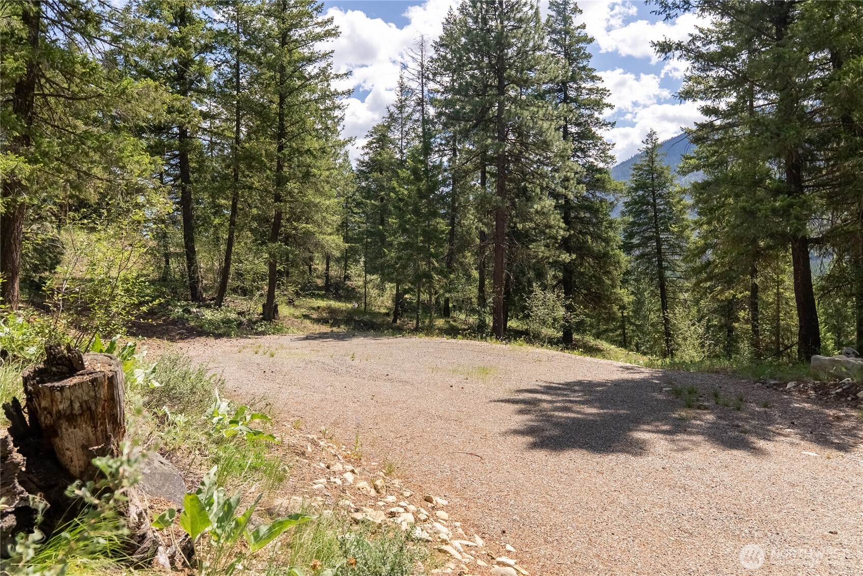 6 Homestead Road Property Photo 27