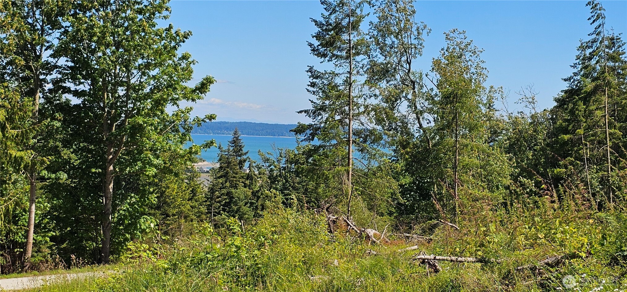222 Triangle Cove Lane Property Photo 3