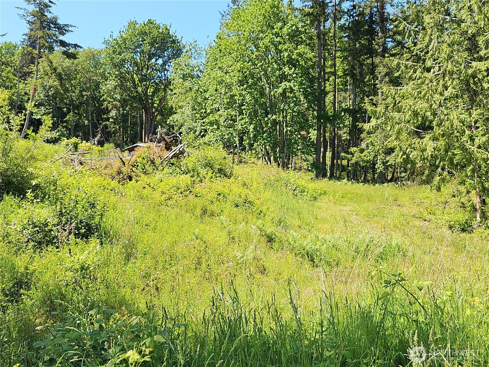 222 Triangle Cove Lane Property Photo 6