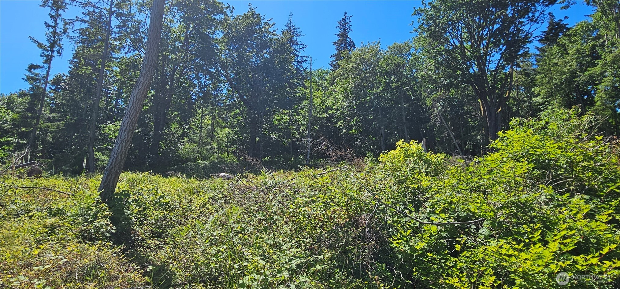 222 Triangle Cove Lane Property Photo 12