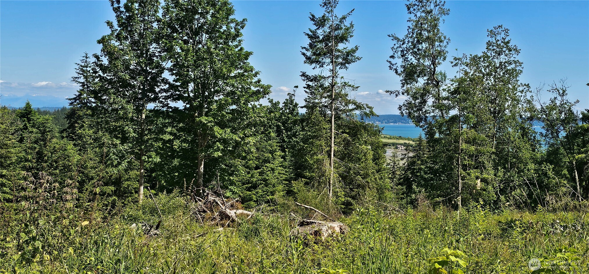 222 Triangle Cove Lane Property Photo 13