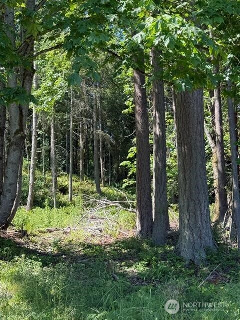 222 Triangle Cove Lane Property Photo 17