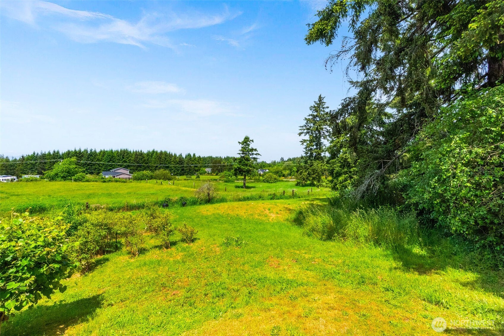 10140 Case Road Property Photo 38