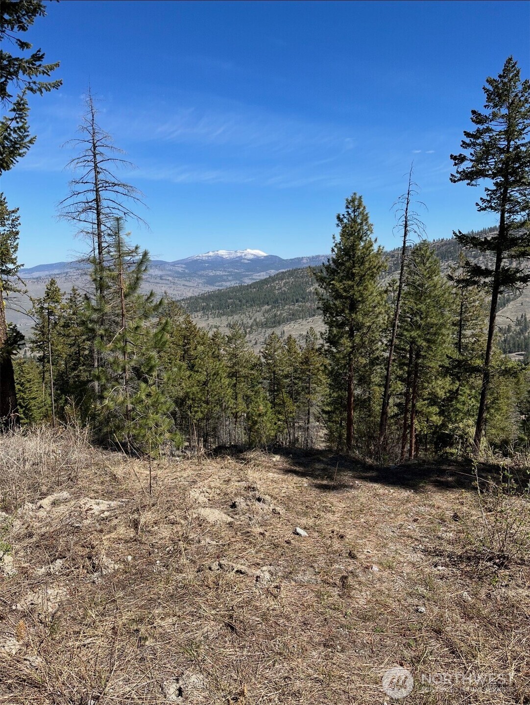 0 Tbd Broken Spoke Road Property Photo 2
