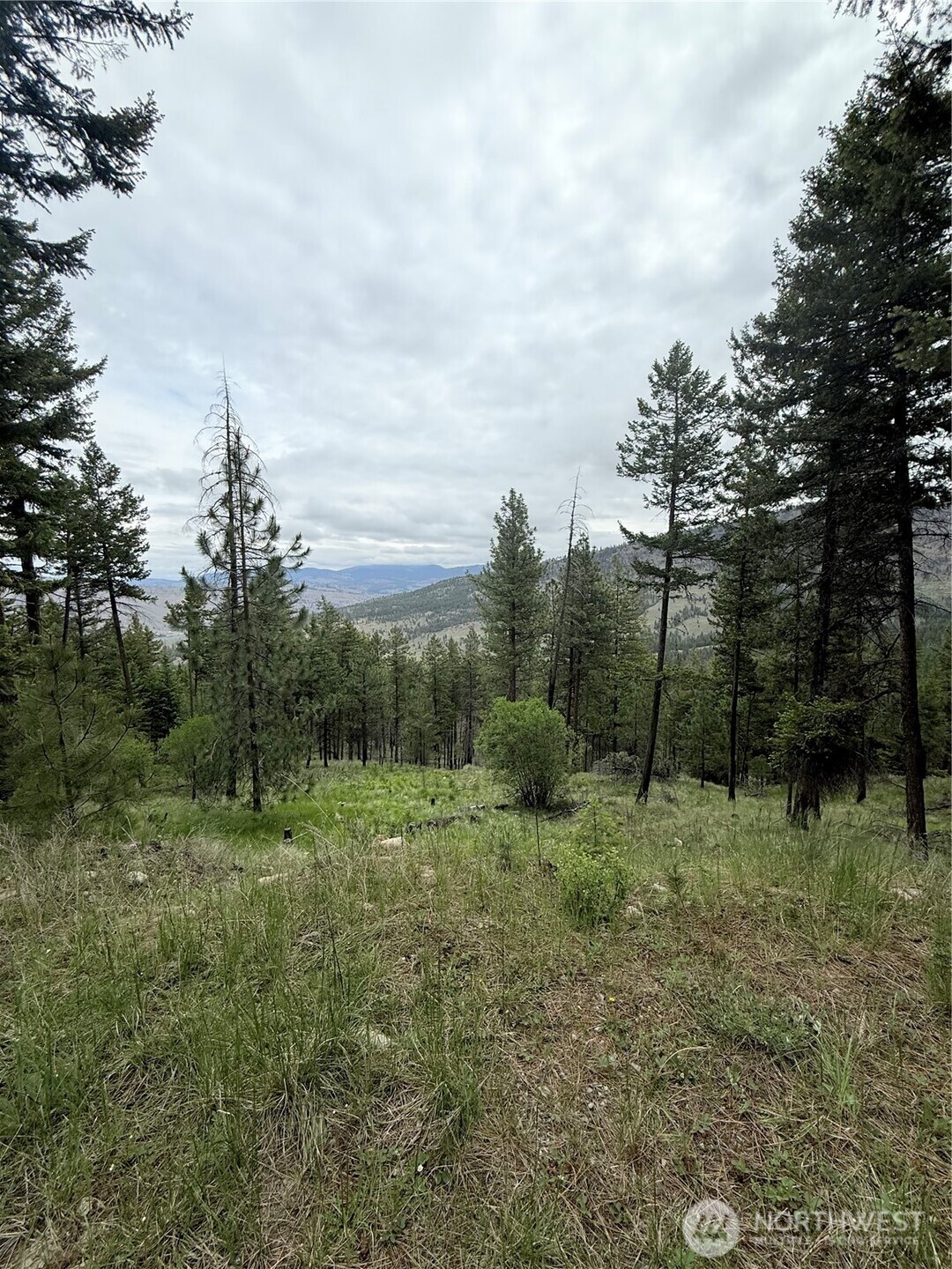 0 Tbd Broken Spoke Road Property Photo 6