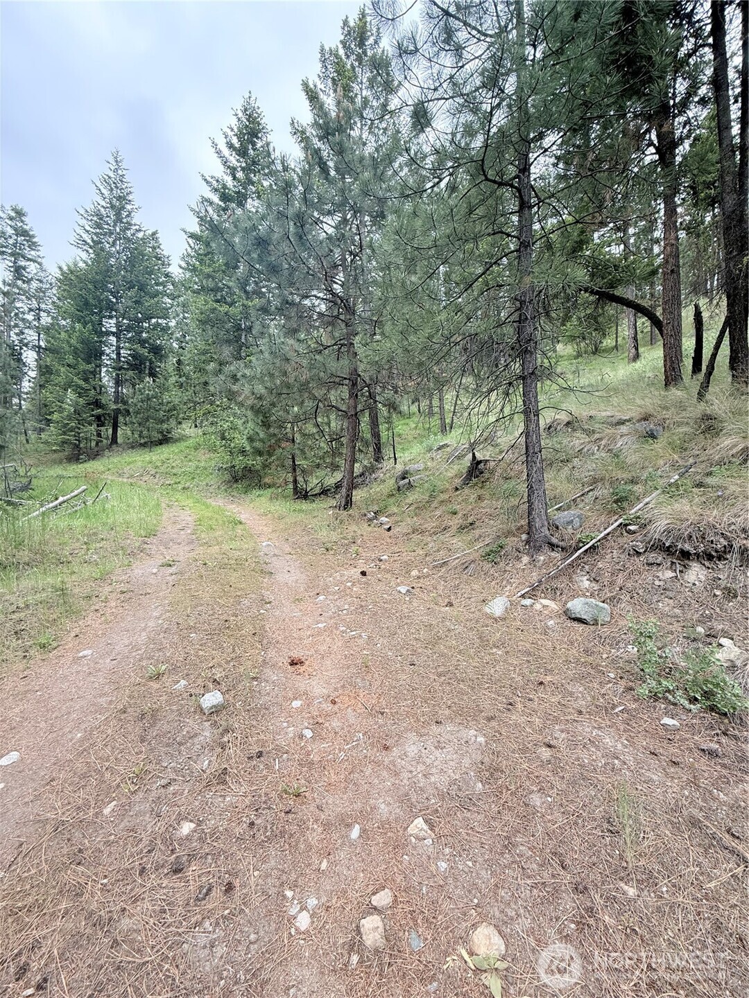 0 Tbd Broken Spoke Road Property Photo 10