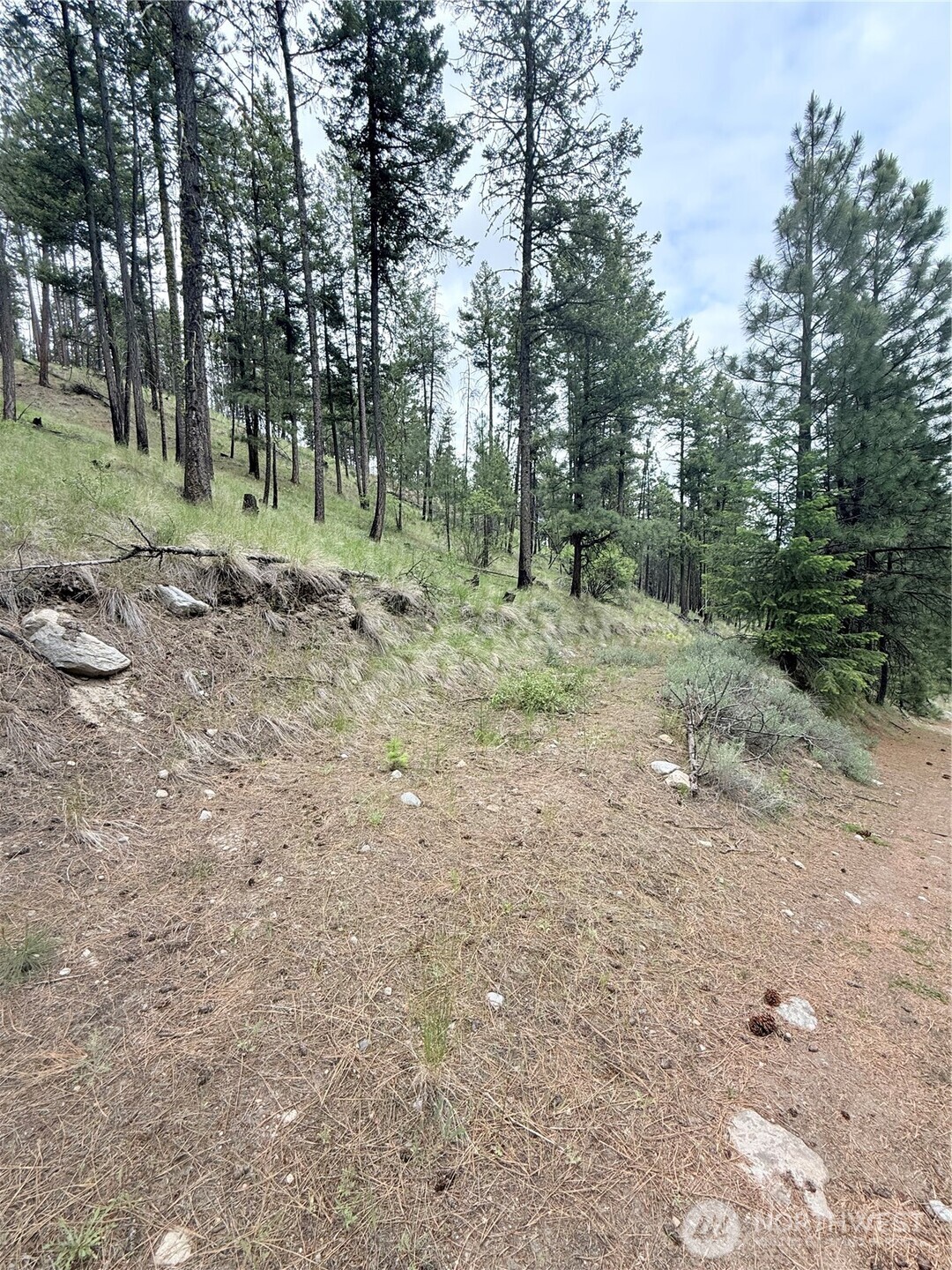 0 Tbd Broken Spoke Road Property Photo 11
