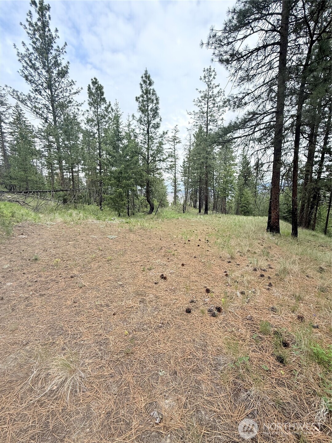 0 Tbd Broken Spoke Road Property Photo 12