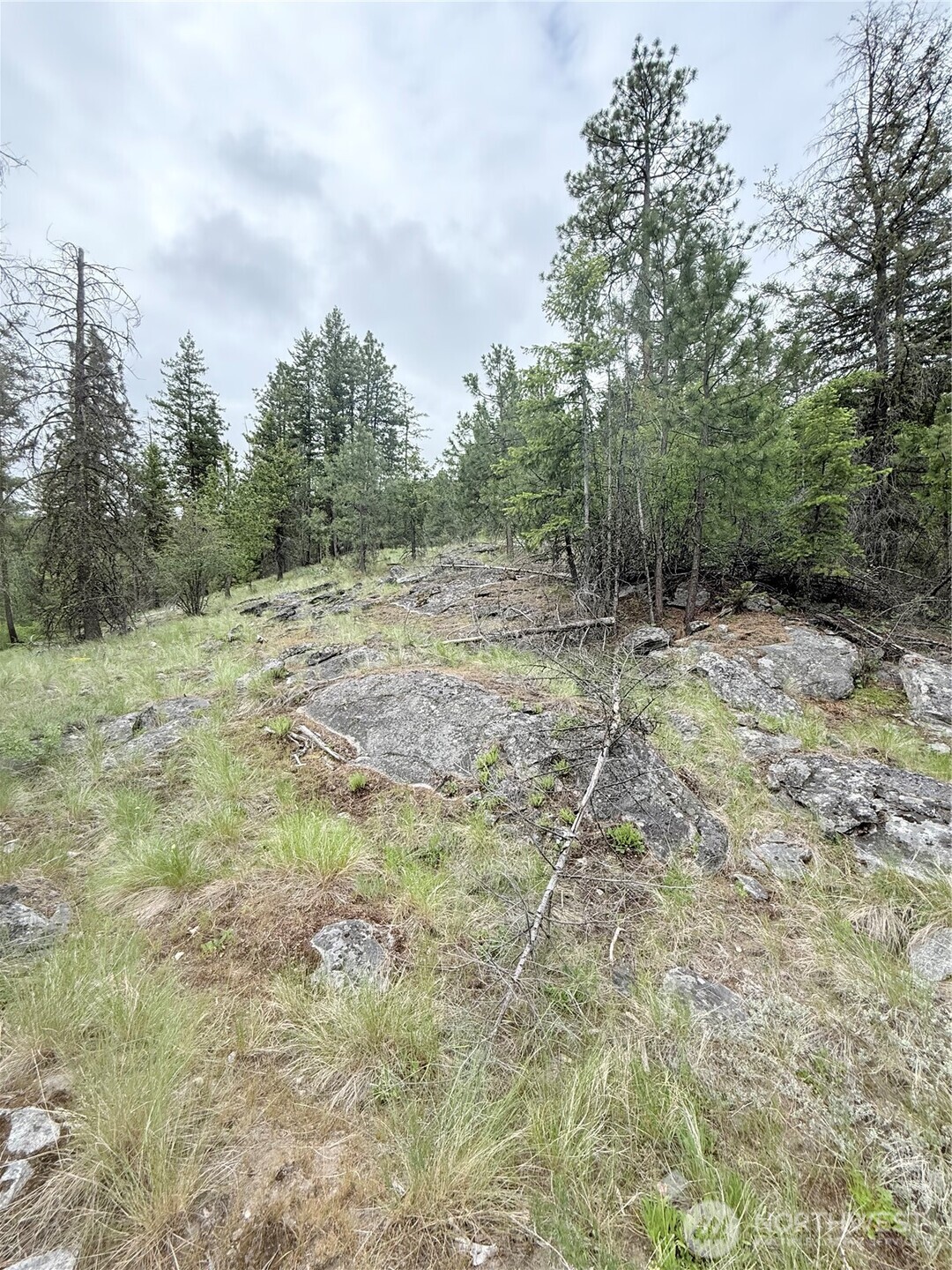 0 Tbd Broken Spoke Road Property Photo 13