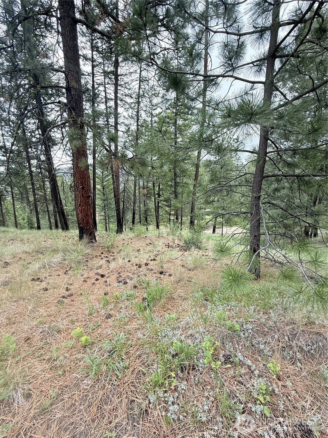 0 Tbd Broken Spoke Road Property Photo 14