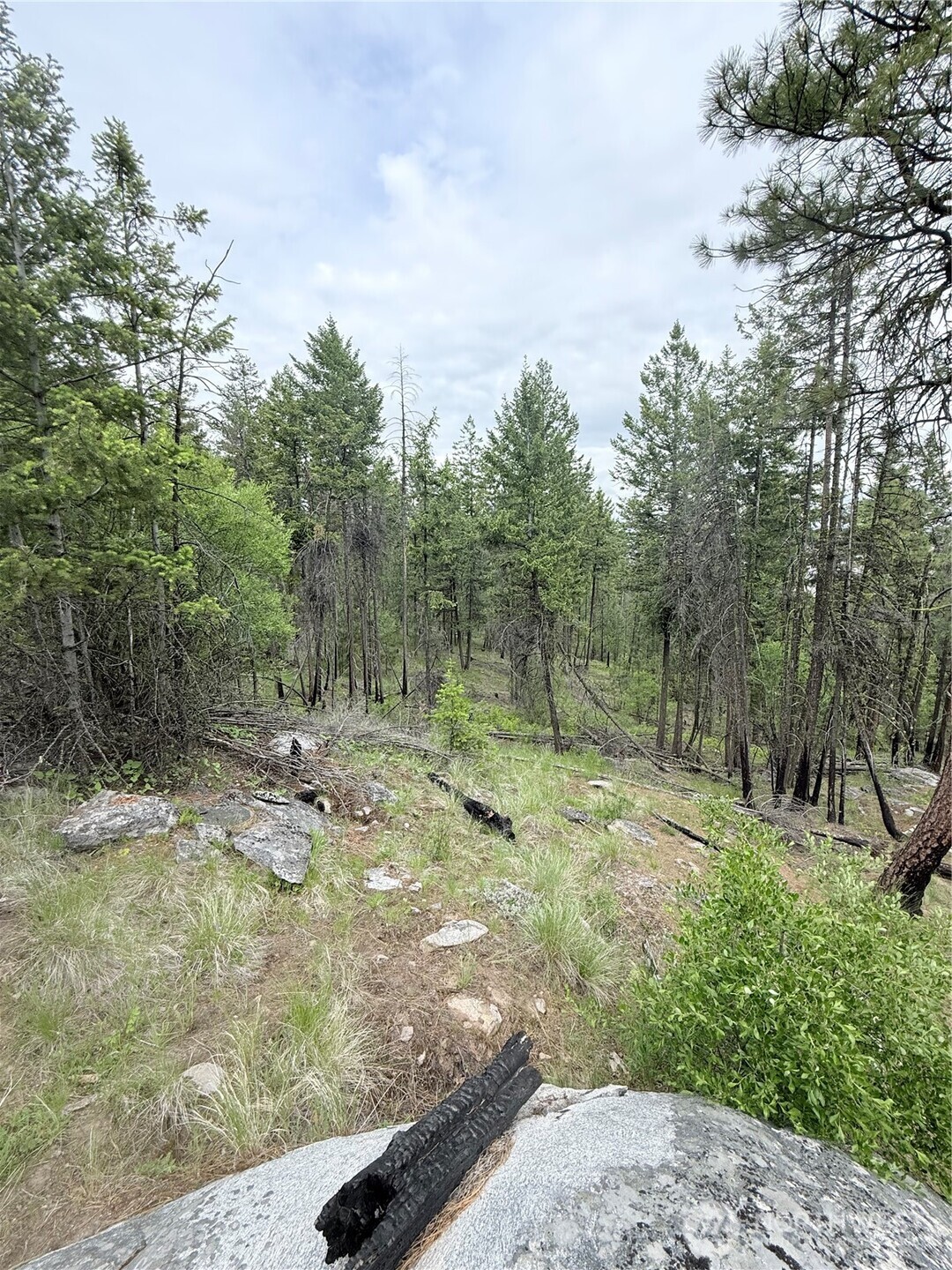 0 Tbd Broken Spoke Road Property Photo 15