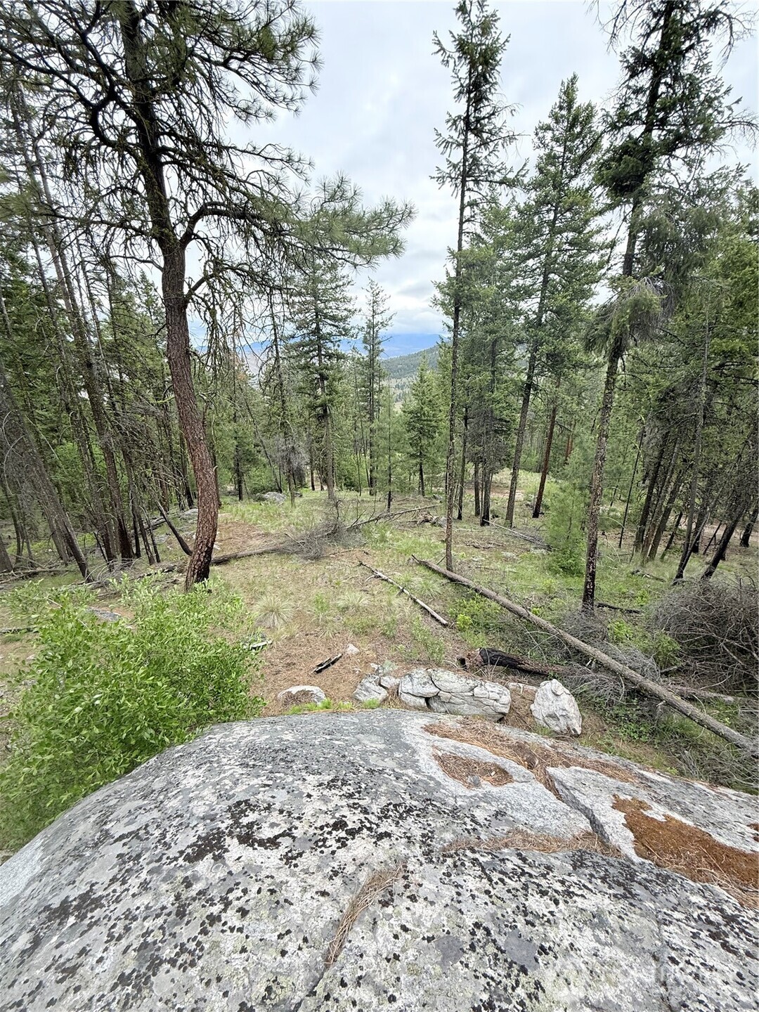 0 Tbd Broken Spoke Road Property Photo 16