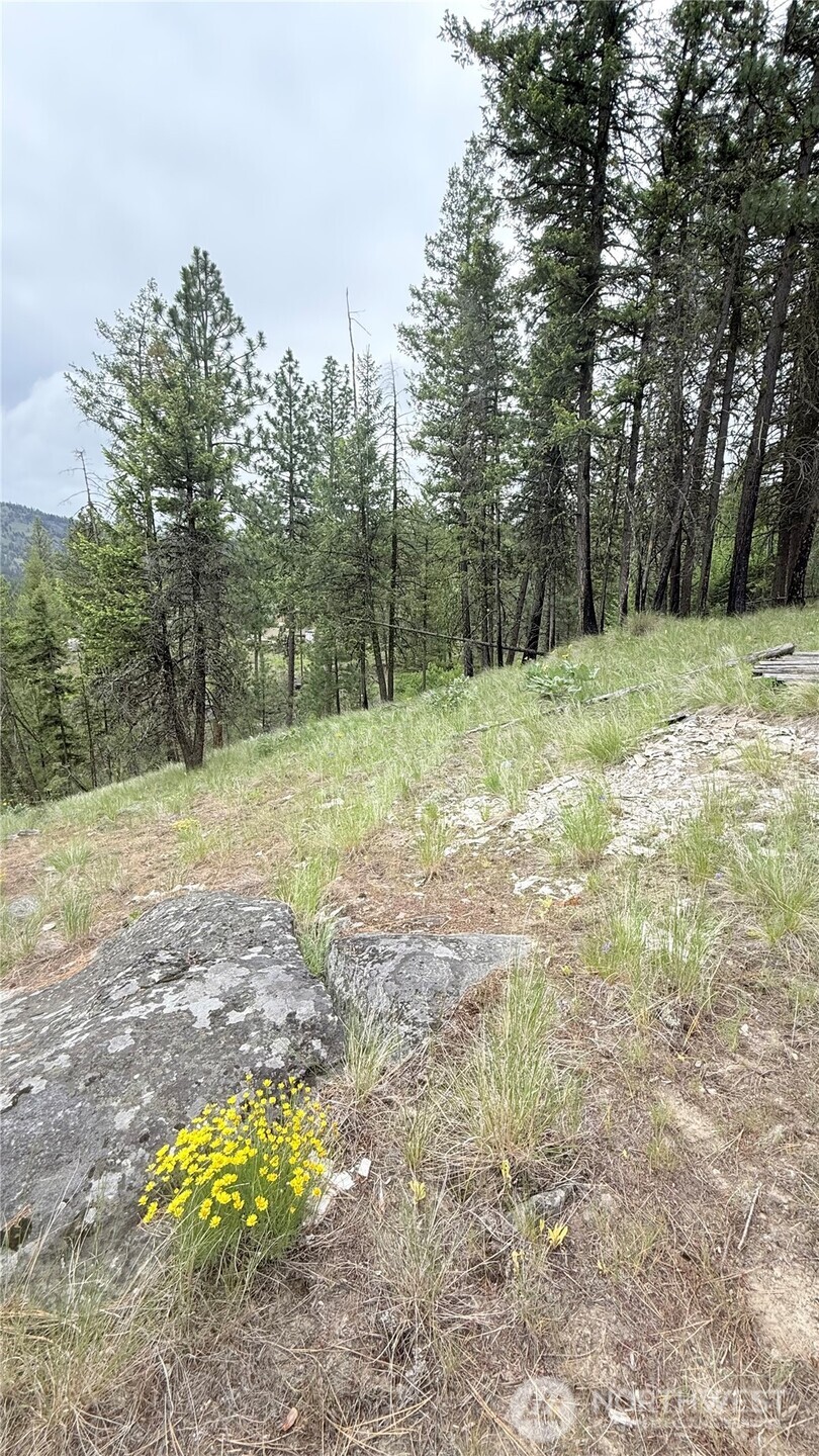 0 Tbd Broken Spoke Road Property Photo 17