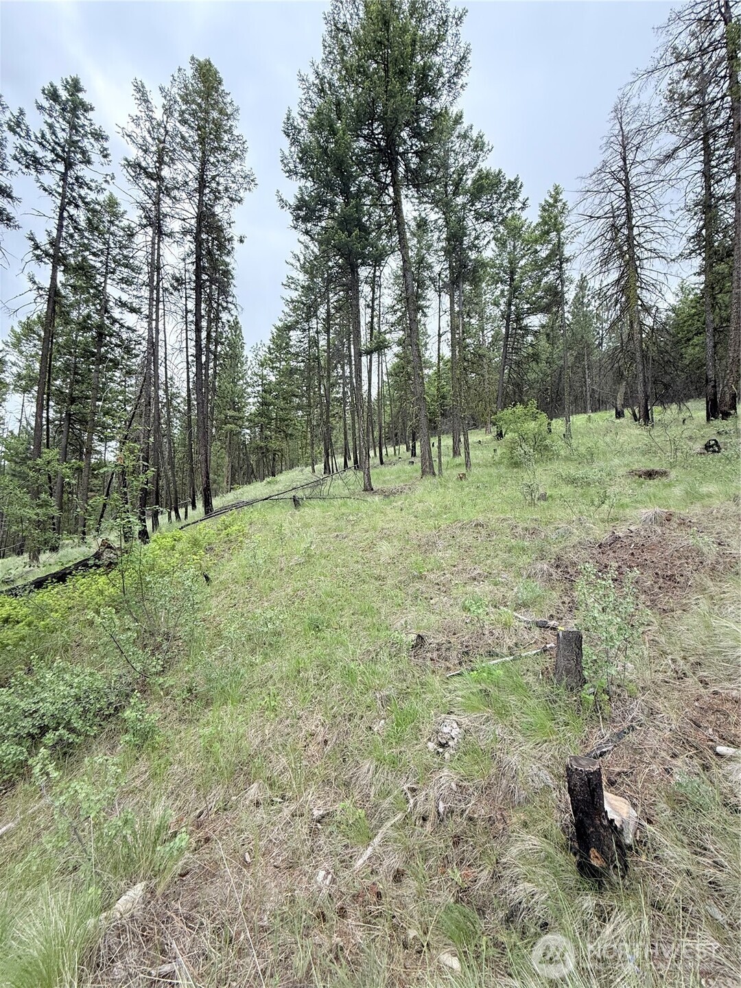 0 Tbd Broken Spoke Road Property Photo 18