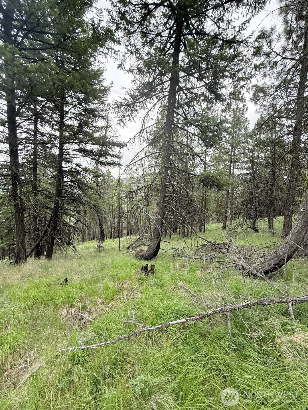 0 Tbd Broken Spoke Road Property Photo 19