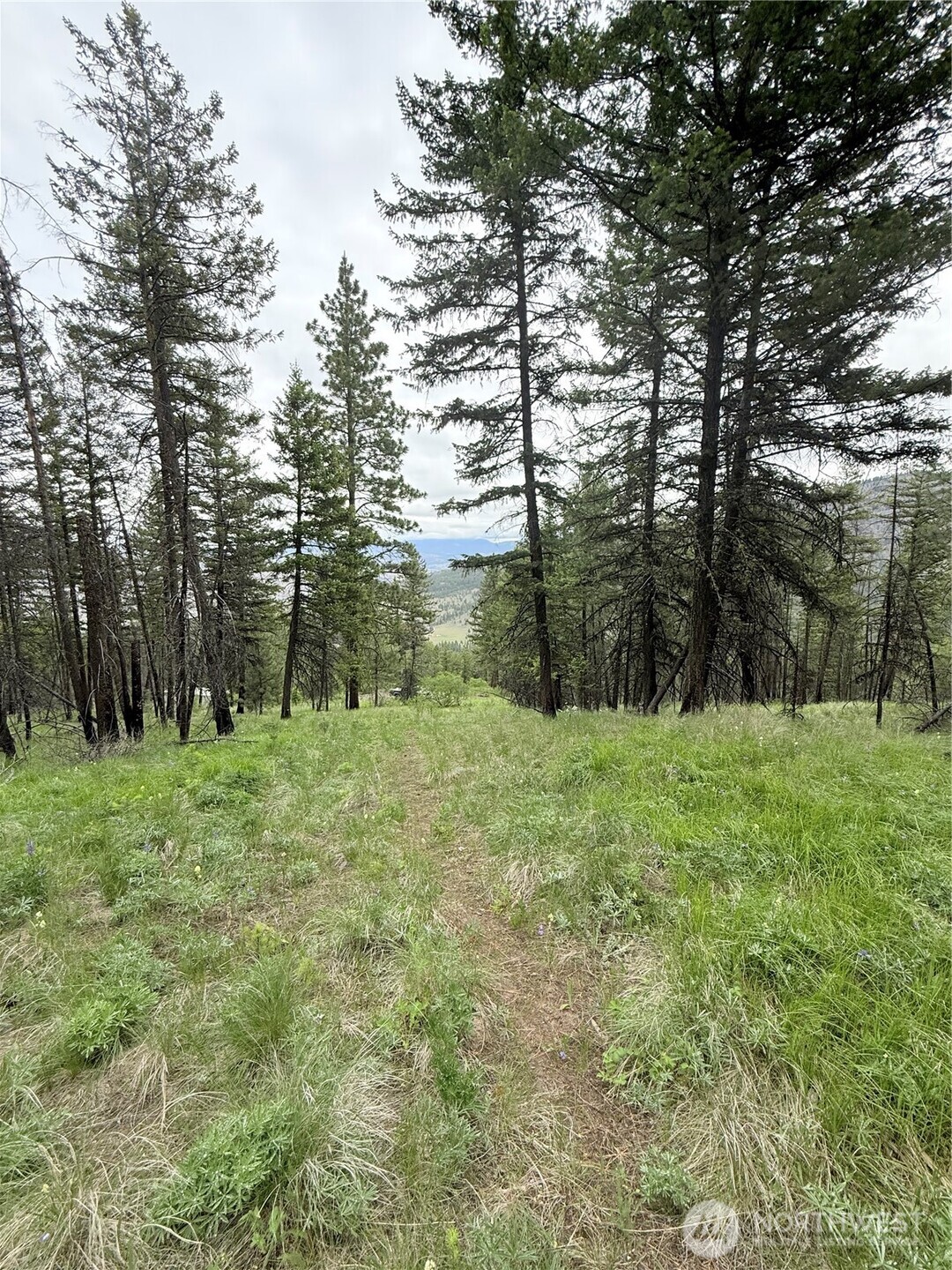 0 Tbd Broken Spoke Road Property Photo 20