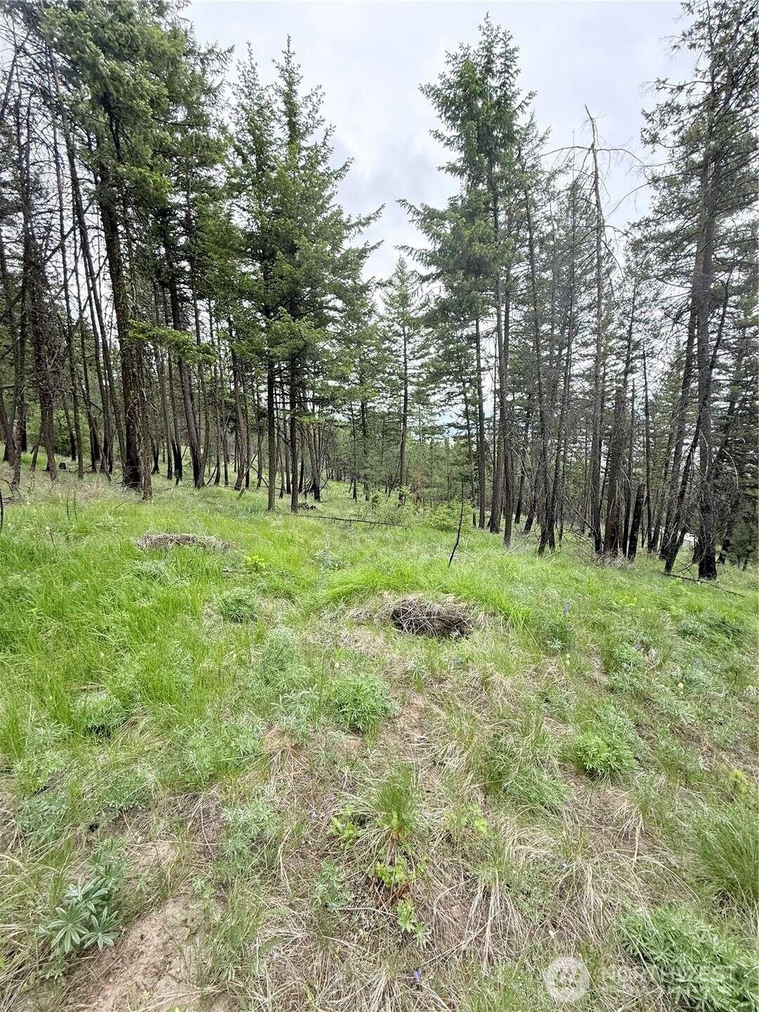 0 Tbd Broken Spoke Road Property Photo 21