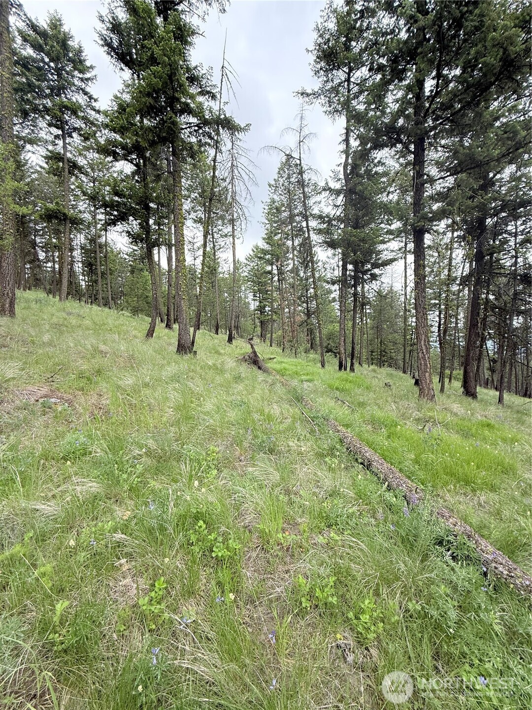 0 Tbd Broken Spoke Road Property Photo 22
