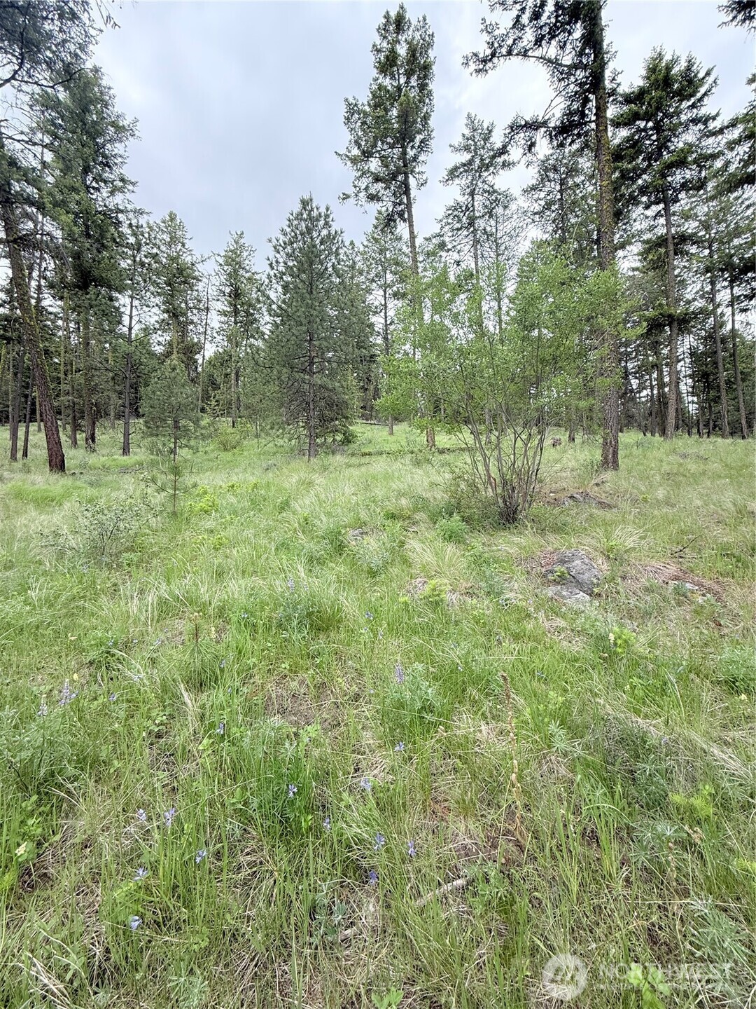 0 Tbd Broken Spoke Road Property Photo 23