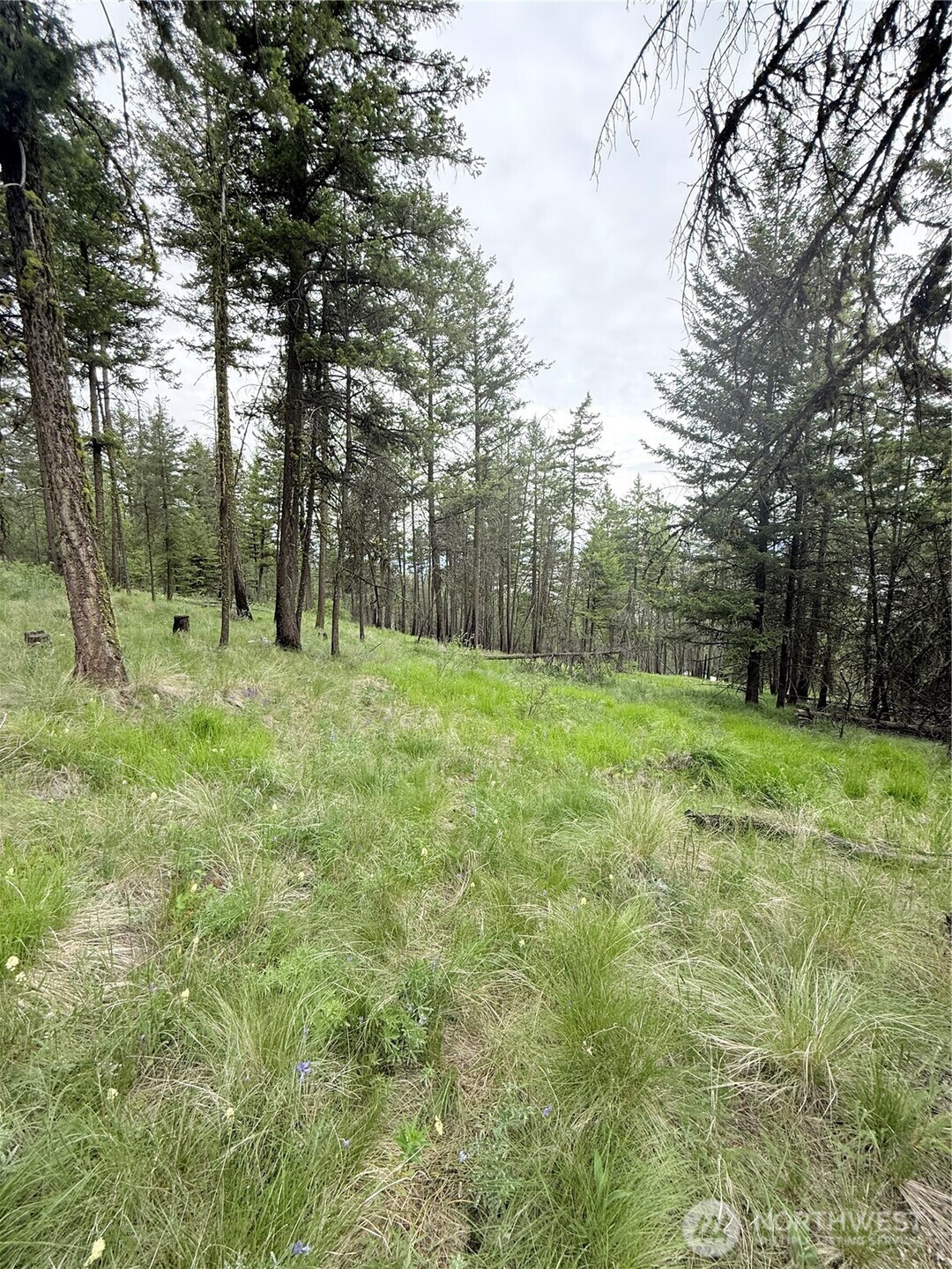 0 Tbd Broken Spoke Road Property Photo 24