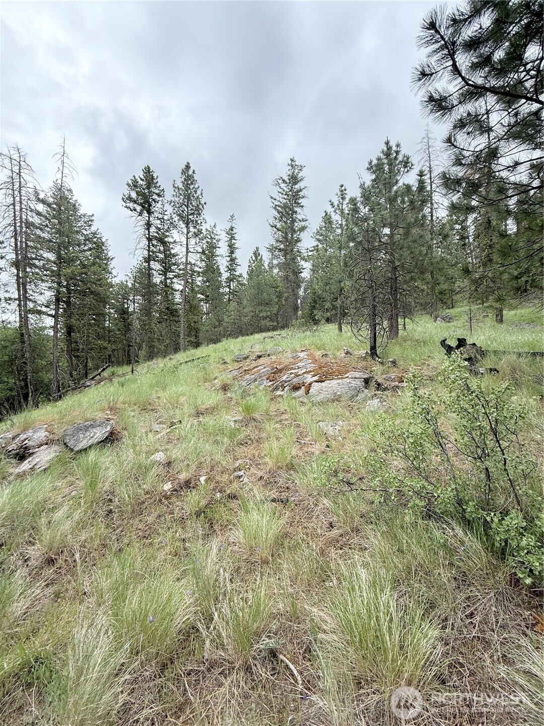 0 Tbd Broken Spoke Road Property Photo 25