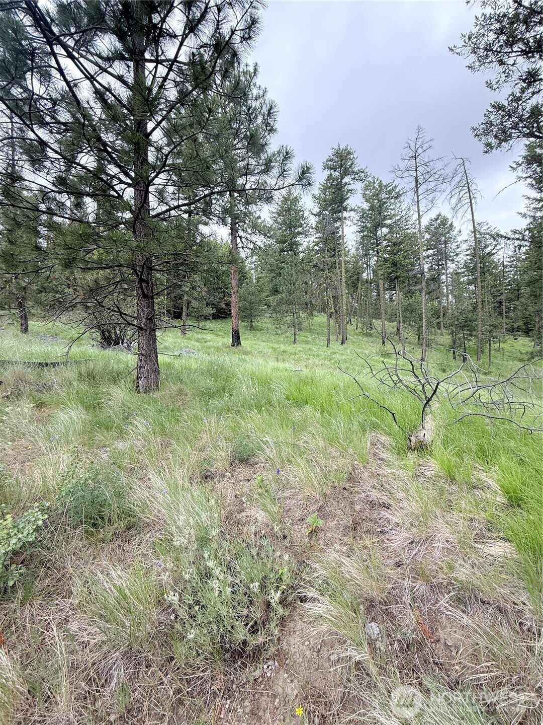 0 Tbd Broken Spoke Road Property Photo 26