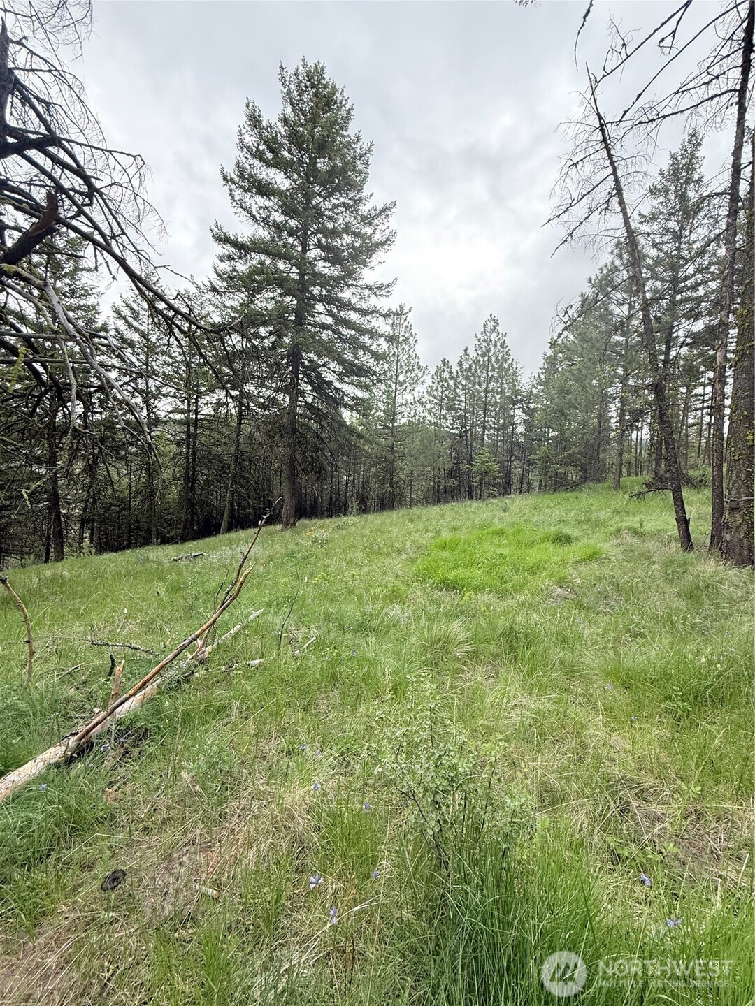 0 Tbd Broken Spoke Road Property Photo 27