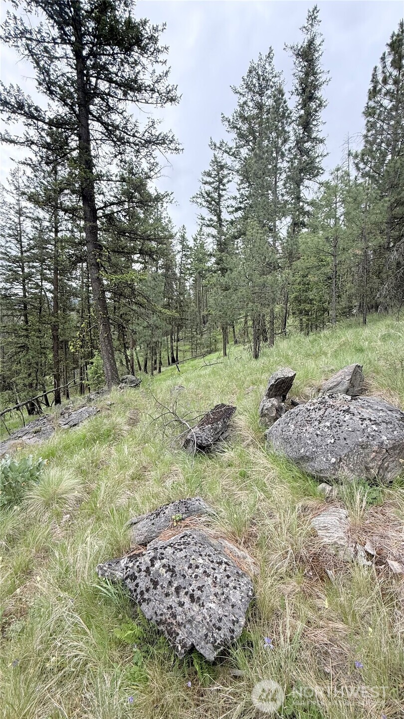 0 Tbd Broken Spoke Road Property Photo 28