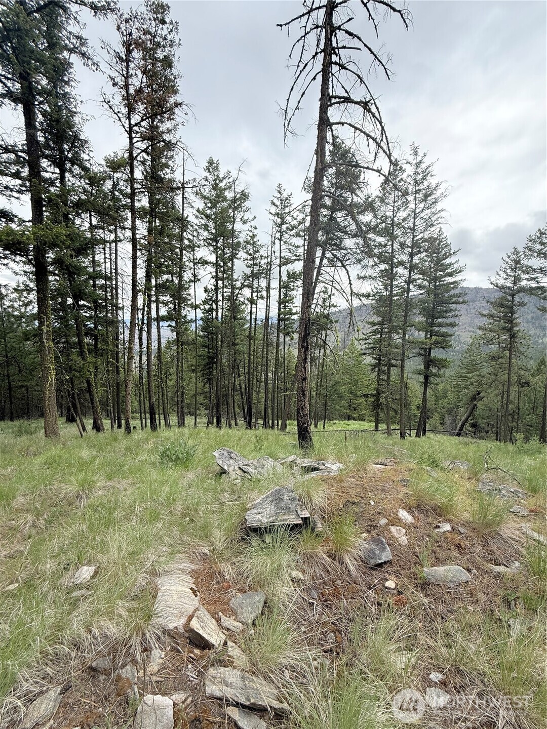 0 Tbd Broken Spoke Road Property Photo 29