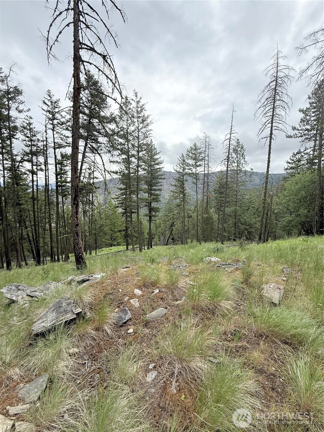 0 Tbd Broken Spoke Road Property Photo 30