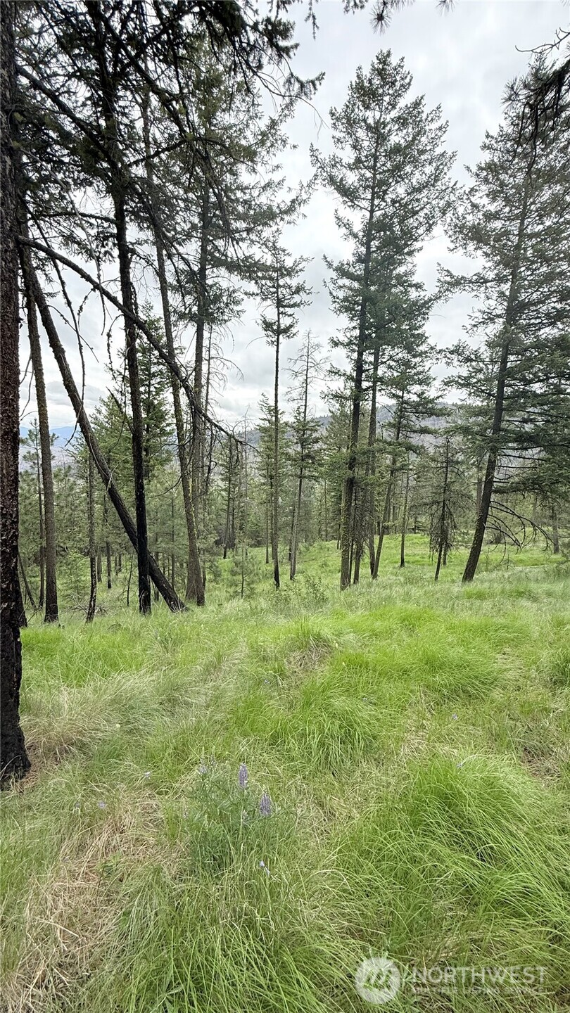 0 Tbd Broken Spoke Road Property Photo 31