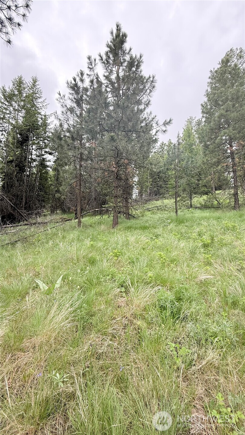 0 Tbd Broken Spoke Road Property Photo 32