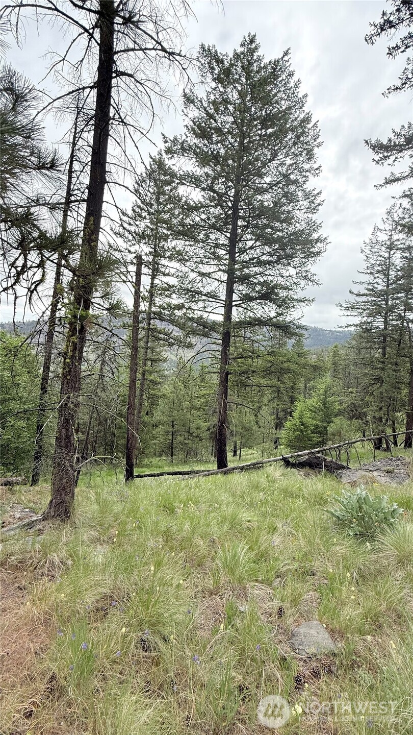 0 Tbd Broken Spoke Road Property Photo 33