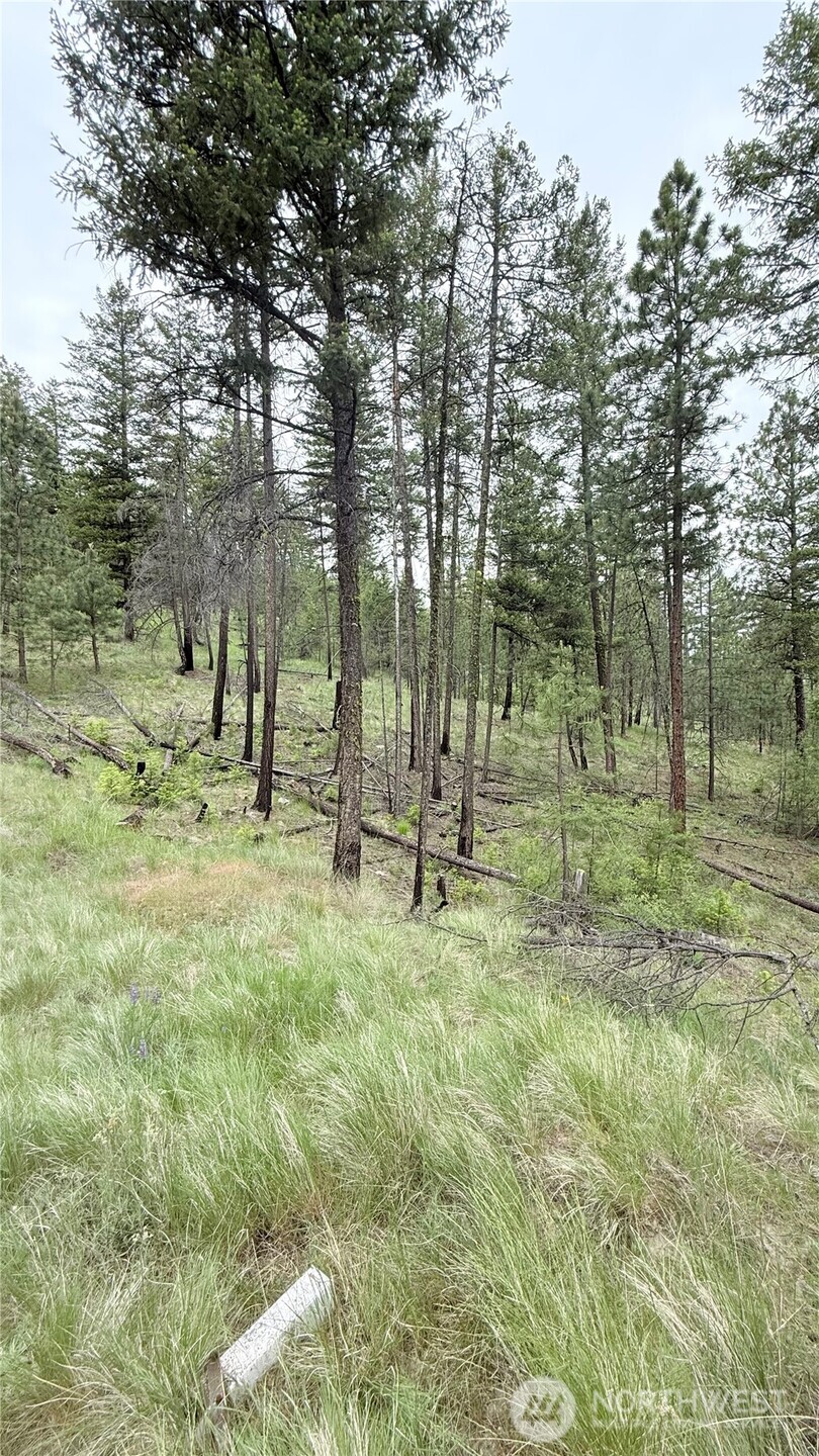 0 Tbd Broken Spoke Road Property Photo 34