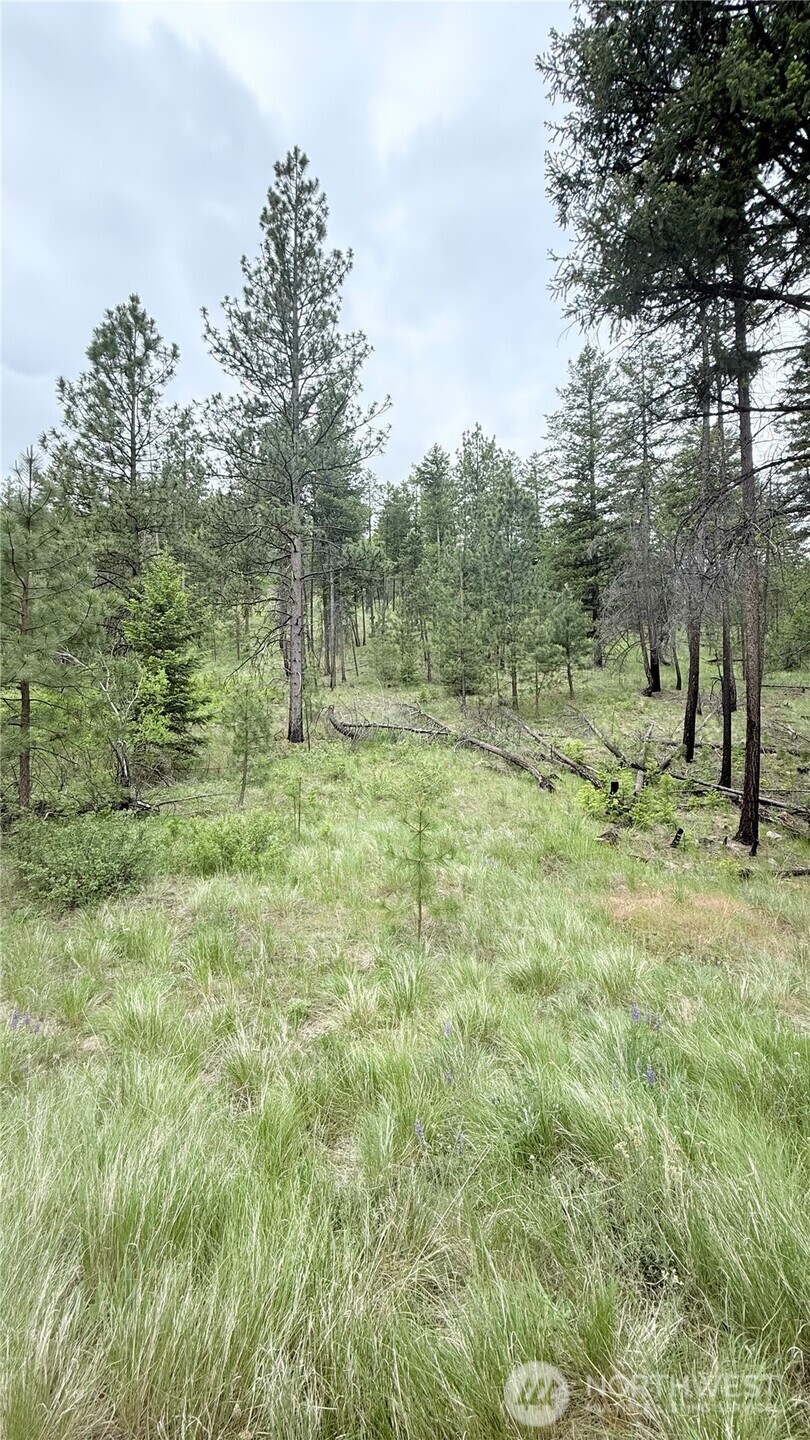 0 Tbd Broken Spoke Road Property Photo 35