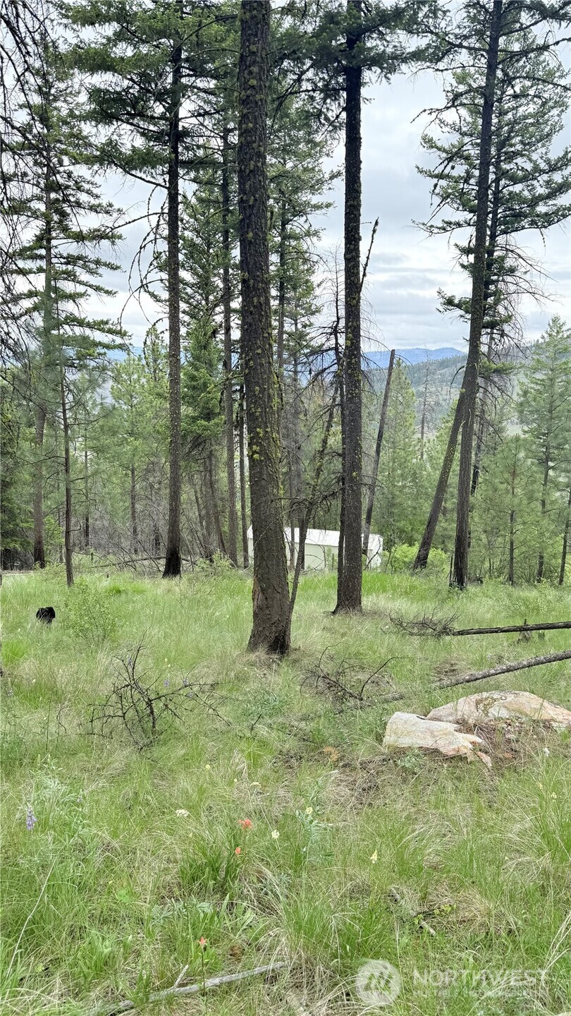 0 Tbd Broken Spoke Road Property Photo 36