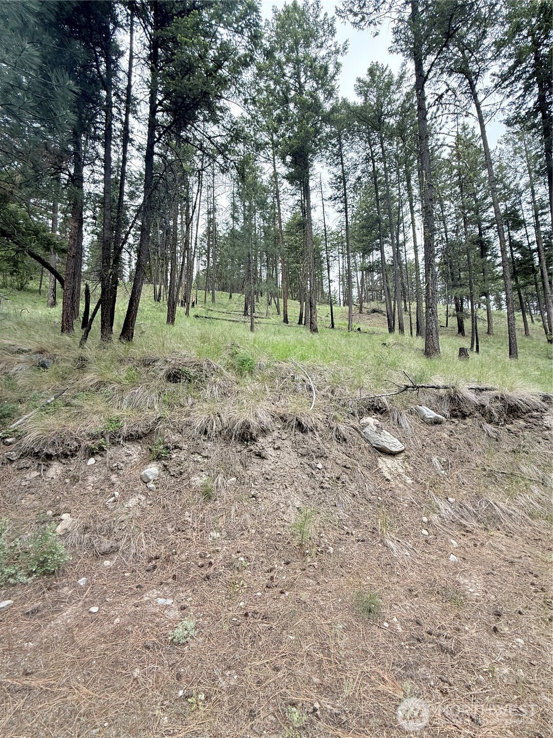 0 Tbd Broken Spoke Road Property Photo 39