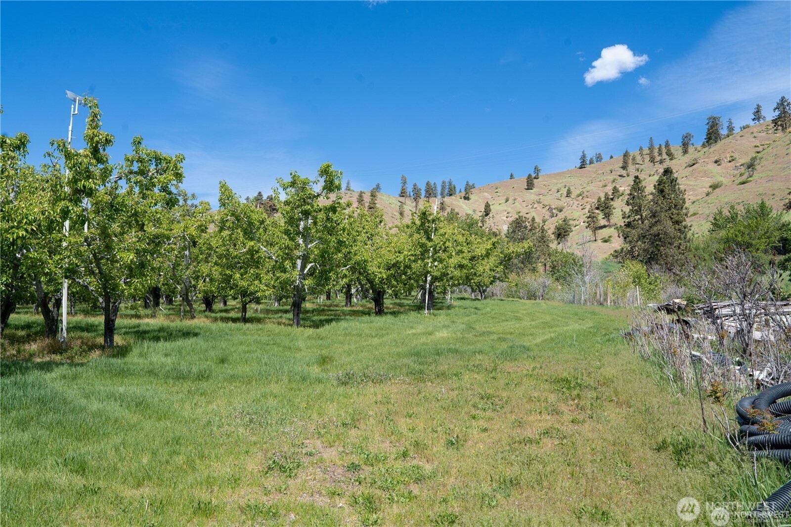 4 Sunburst Lane Property Photo 18