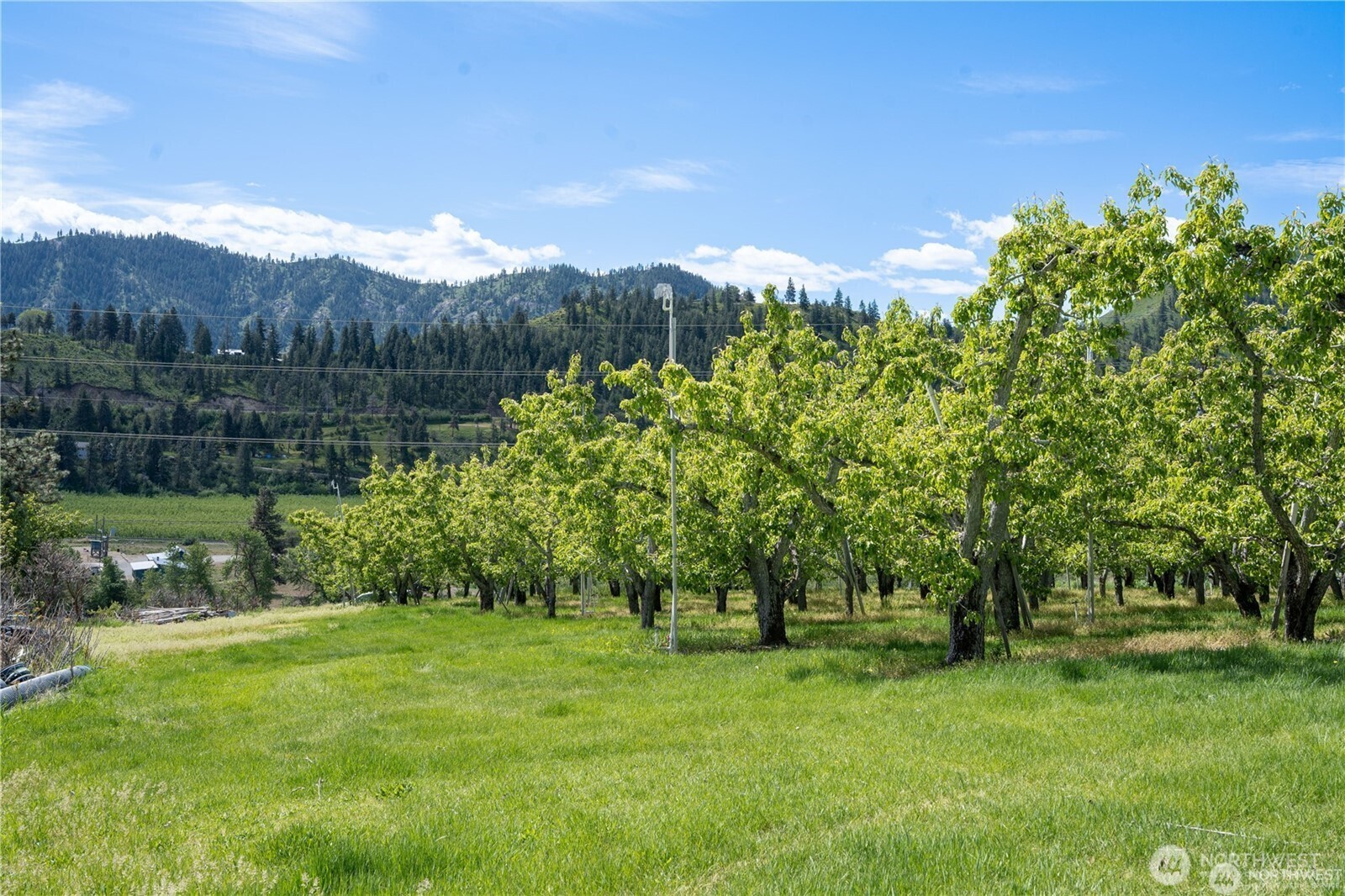 4 Sunburst Lane Property Photo 19
