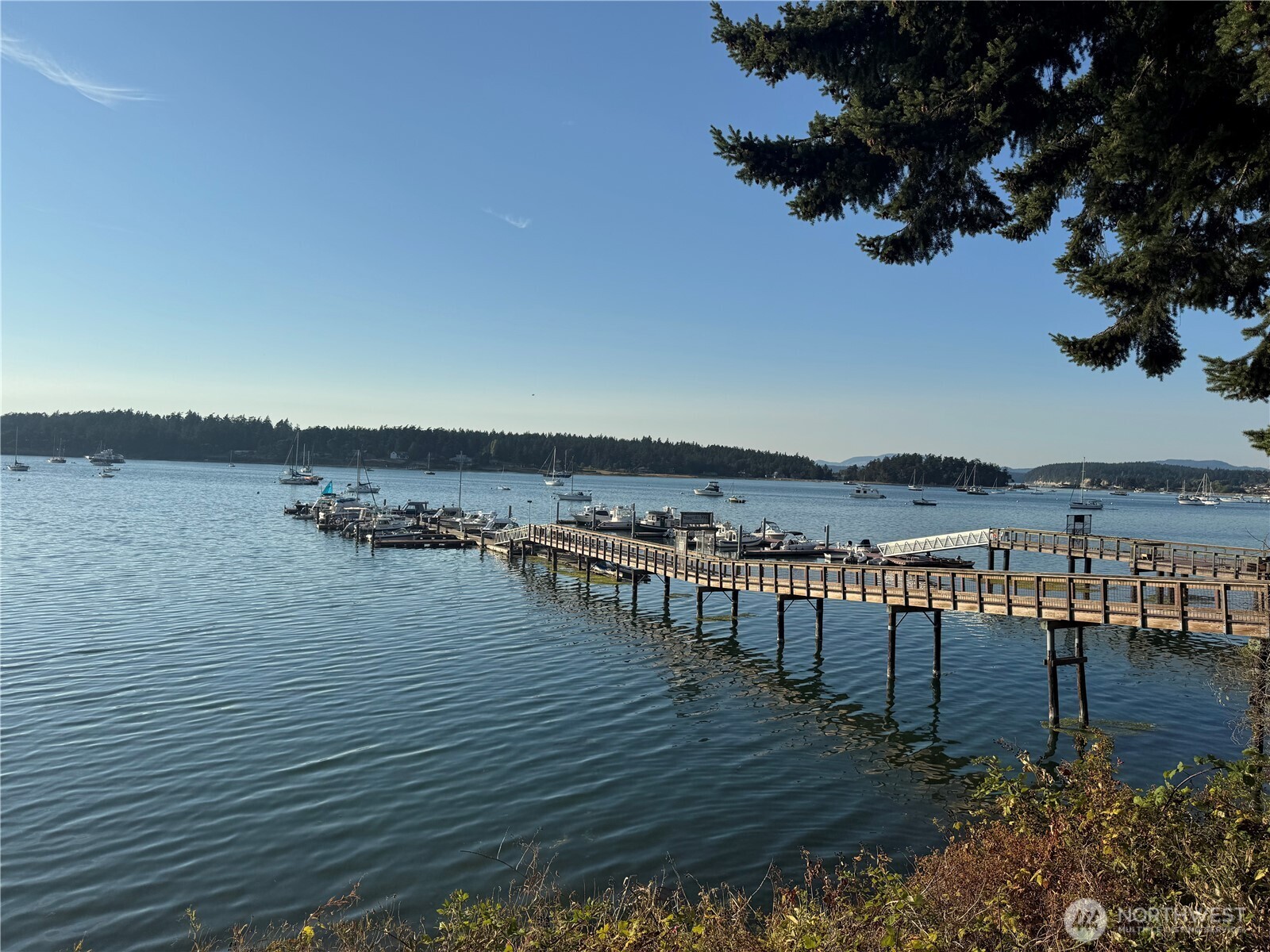 27 Dryad Place Property Photo 3