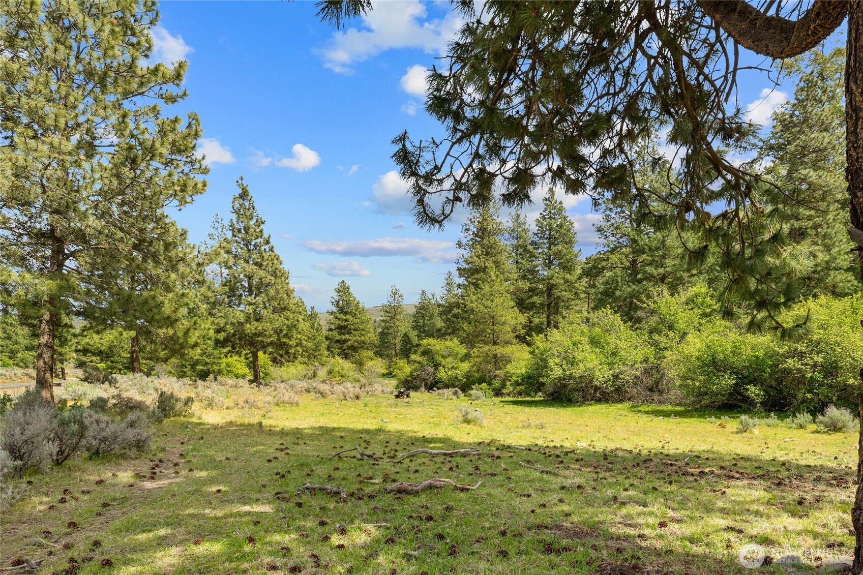 6750 Secret Canyon Road Property Photo 31