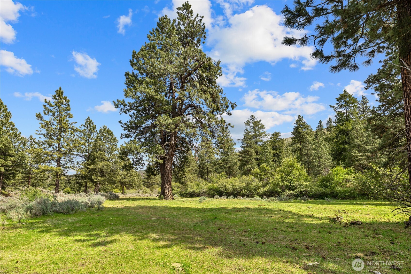 6750 Secret Canyon Road Property Photo 32