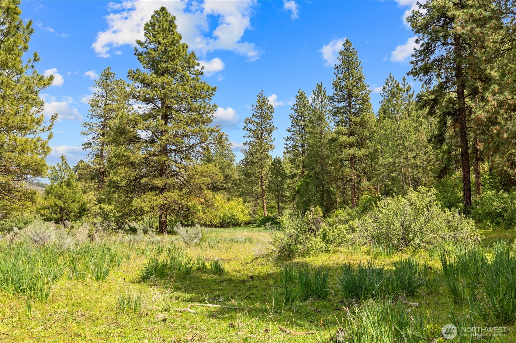 6750 Secret Canyon Road Property Photo 33