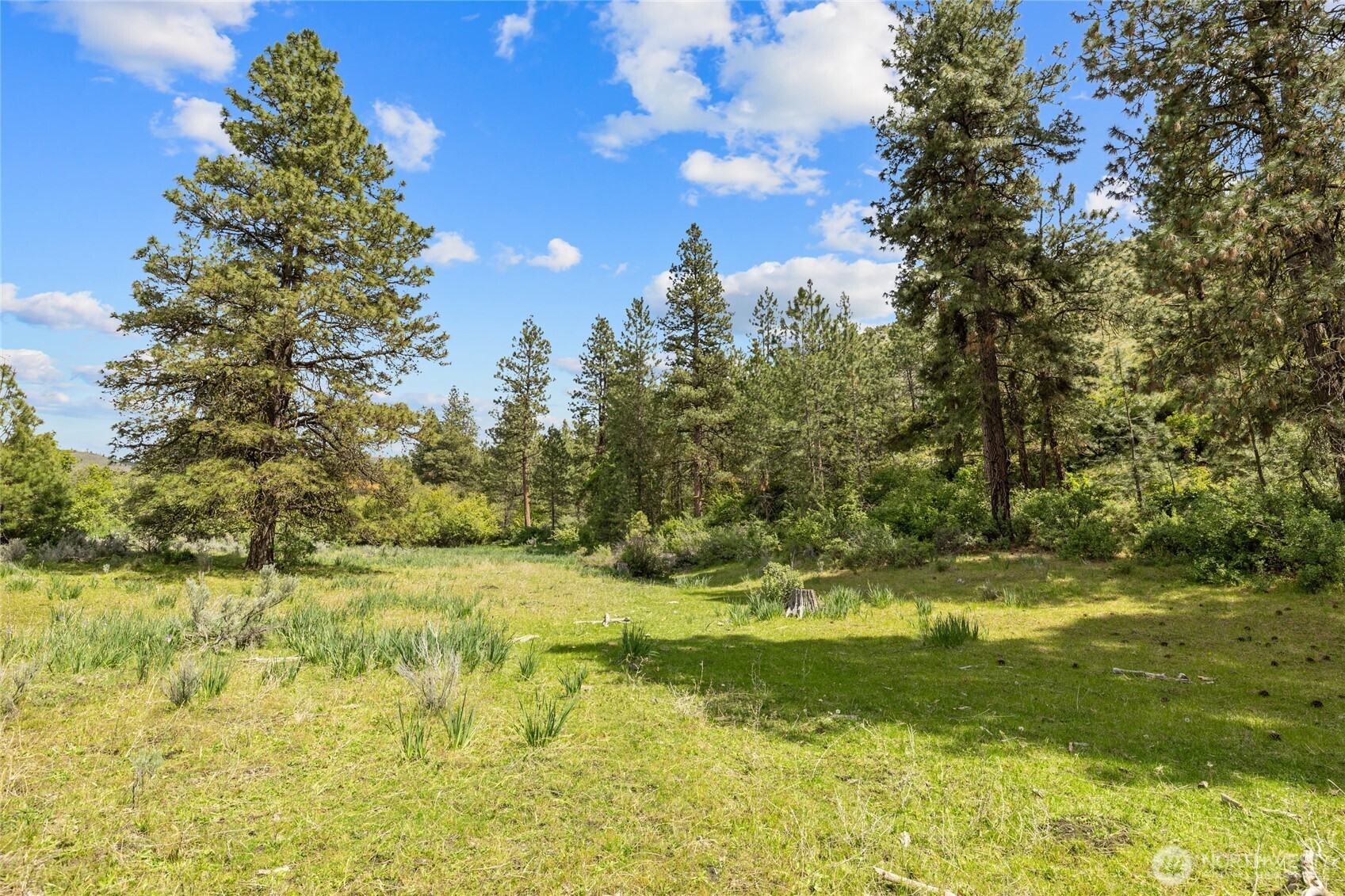 6750 Secret Canyon Road Property Photo 34