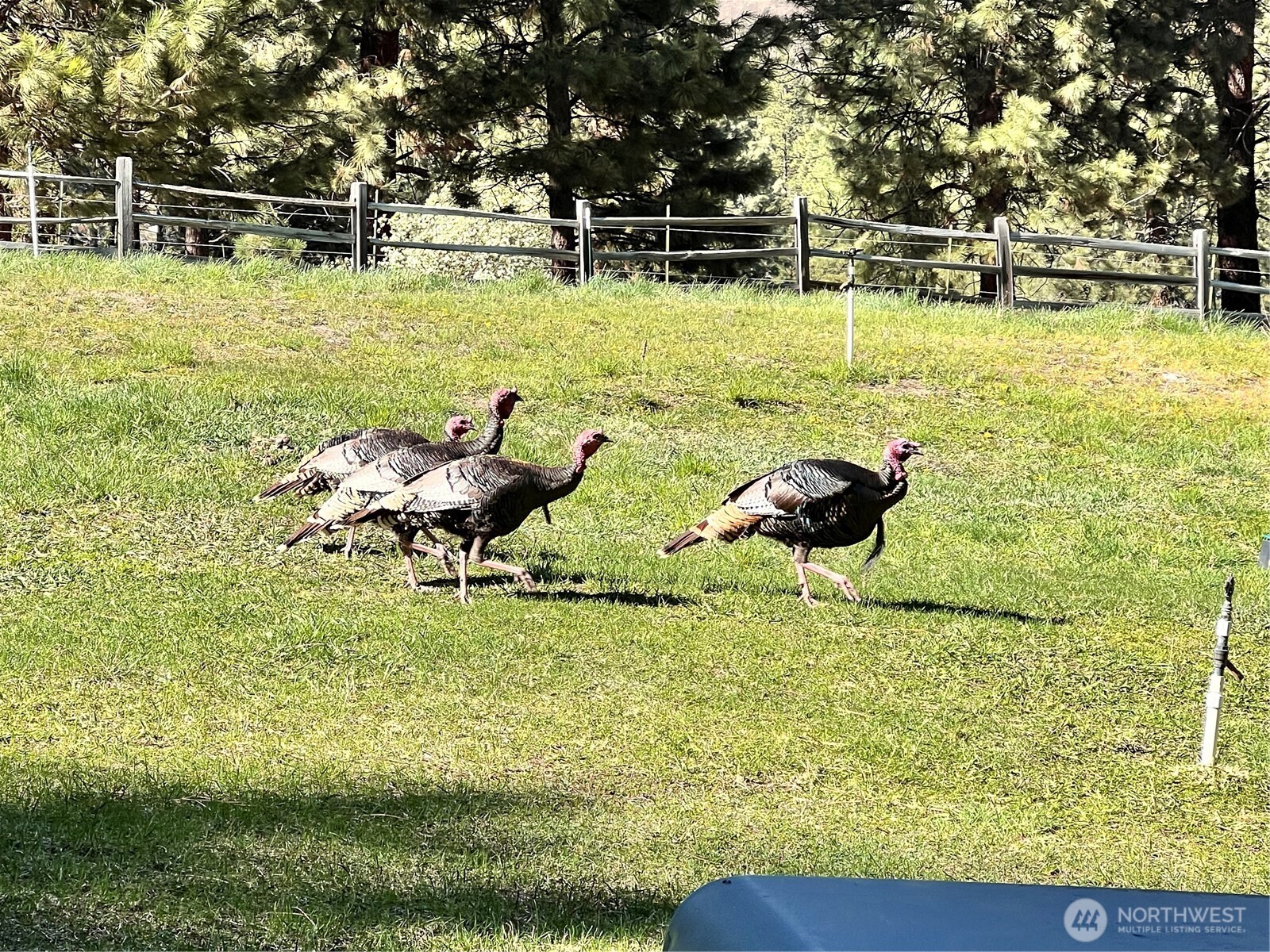 11125 Entiat River Road Property Photo 37