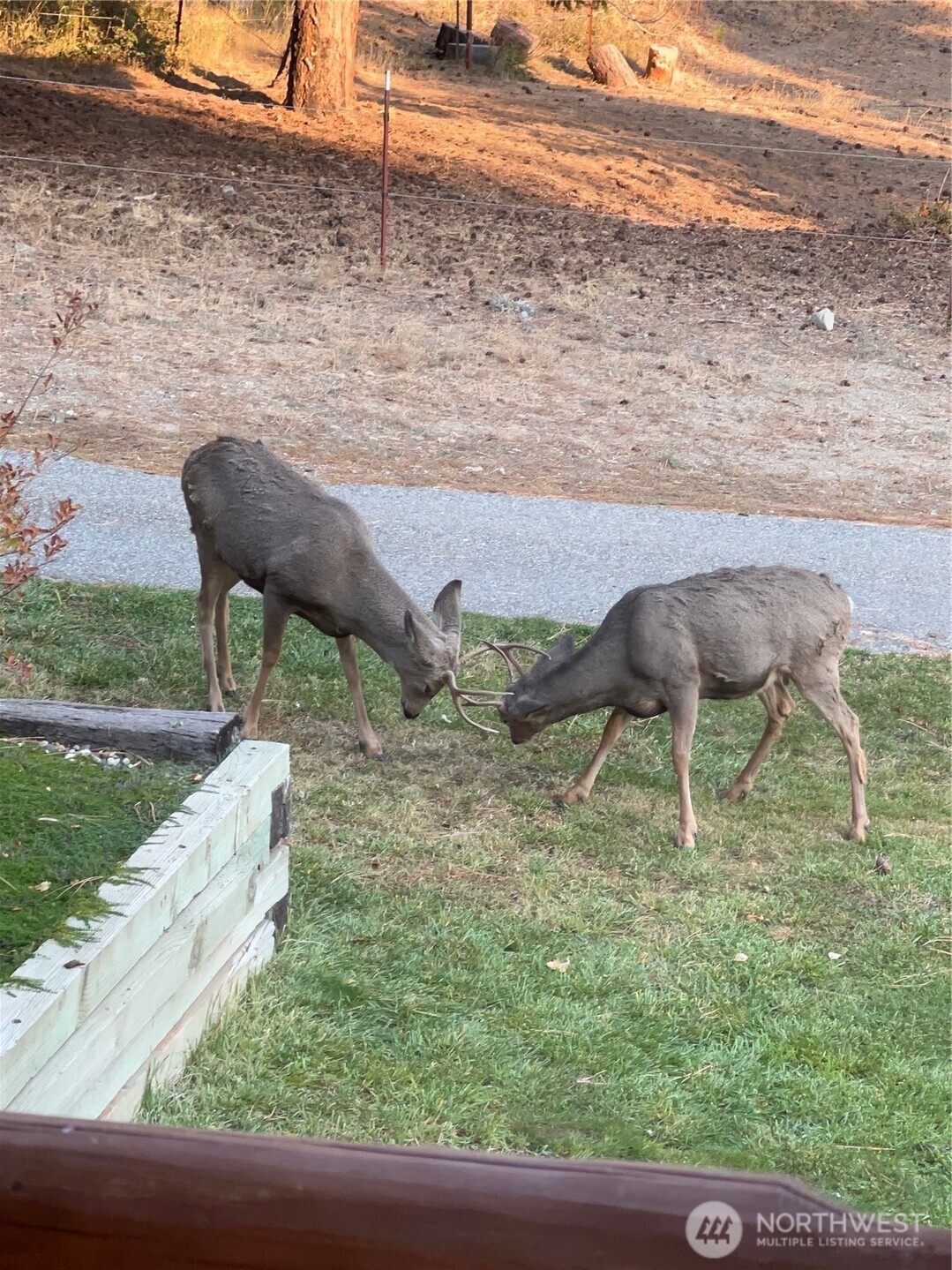 11125 Entiat River Road Property Photo 39