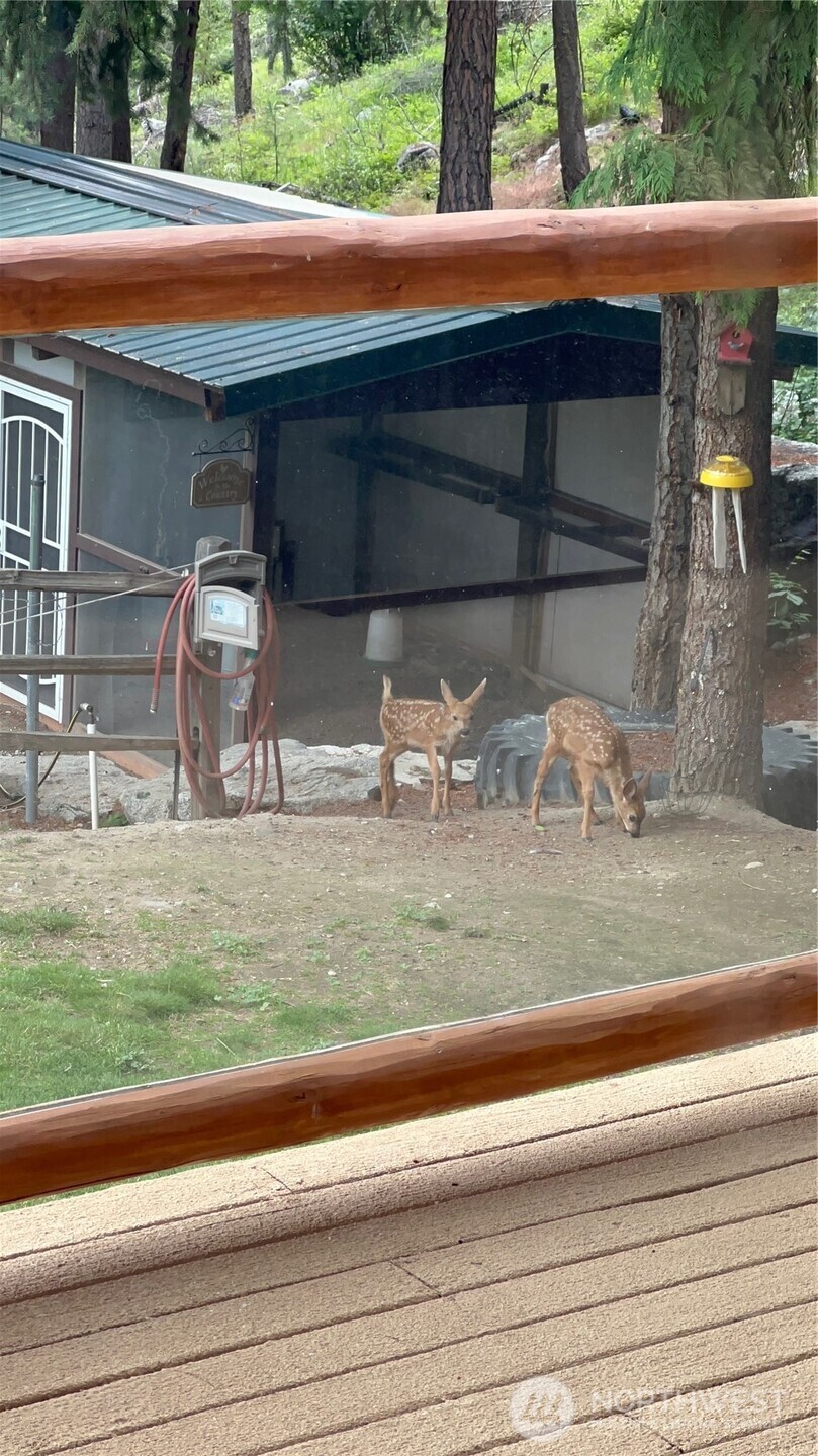 11125 Entiat River Road Property Photo 40
