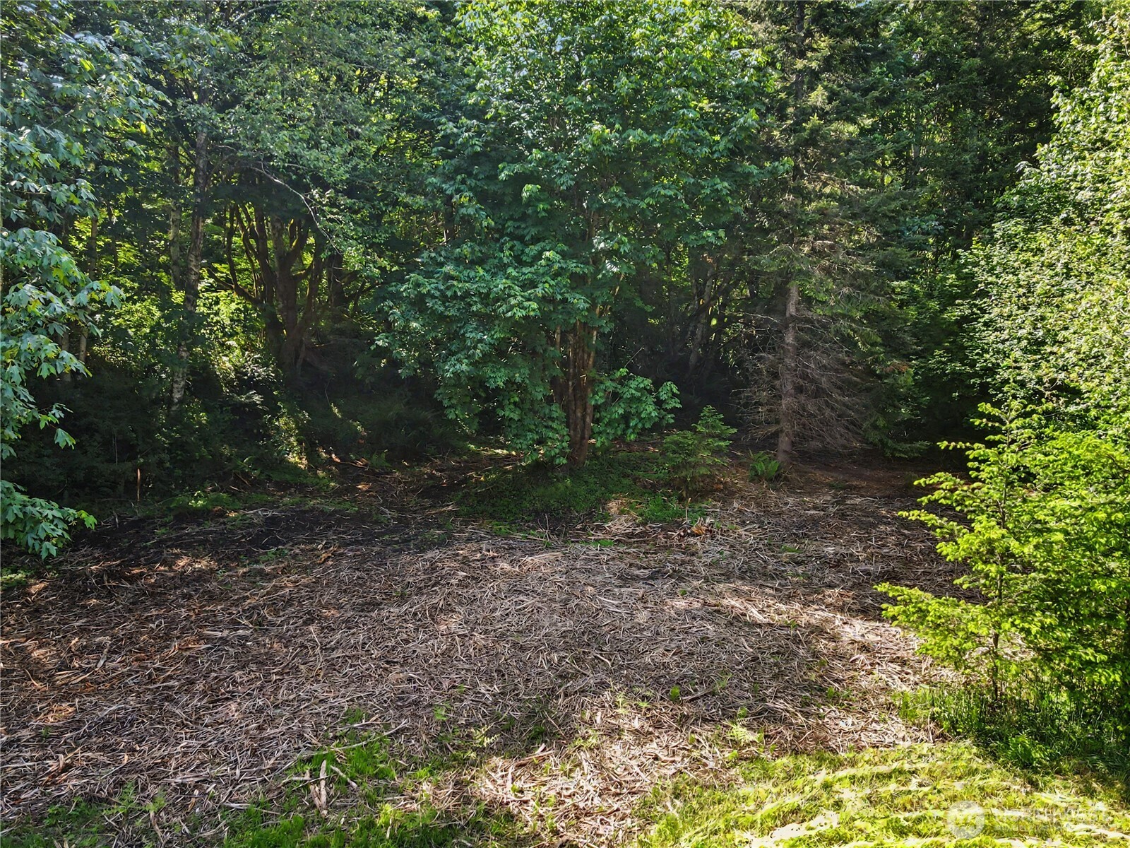 0 Wildwood Road Property Photo 7
